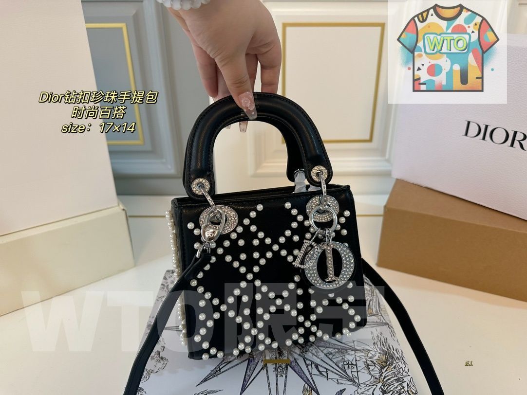 今日 DIOR Lady キャンバスと水 のハンドバッグ で今の在庫は な価格です