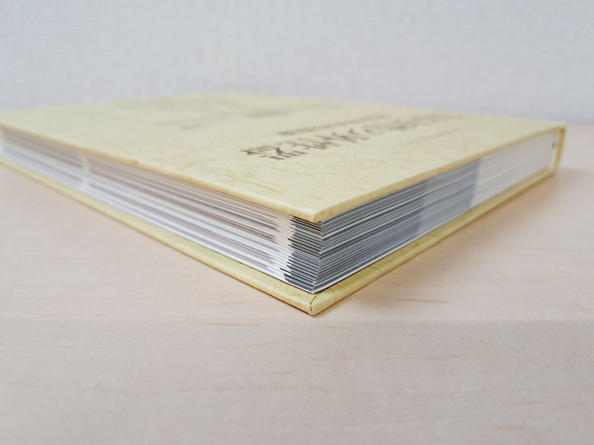 日本女性の外性器 統計学的形態論 日本性科学体系1 笠井寛司 著 星雲社