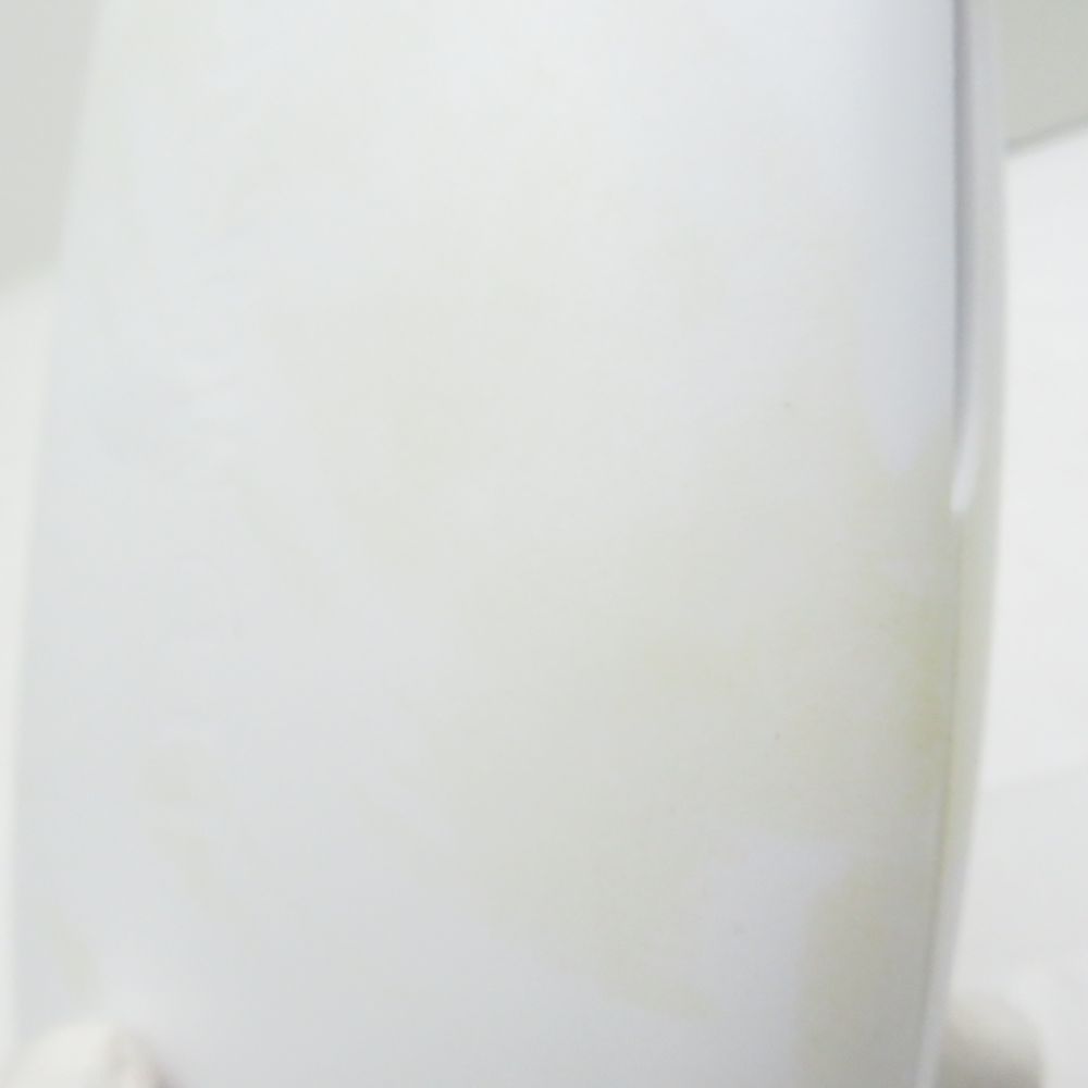 スキンコンディショナーIV 美顔器