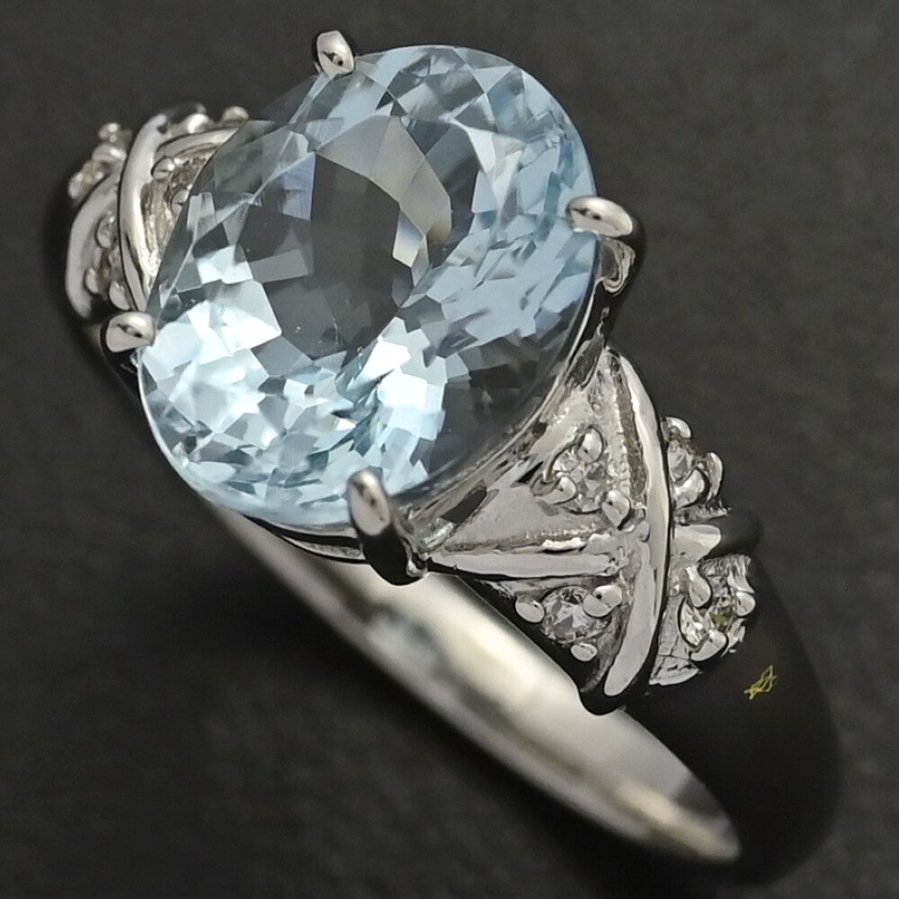 AQ 2.7 ct FD 0.08 誕生石 1 P･アクアマリン･ダイヤモンドリング･指輪 Pt 950-4.8 g 13号 53 プラチナ プレゼント 記念日 S メンズ レディース 595875