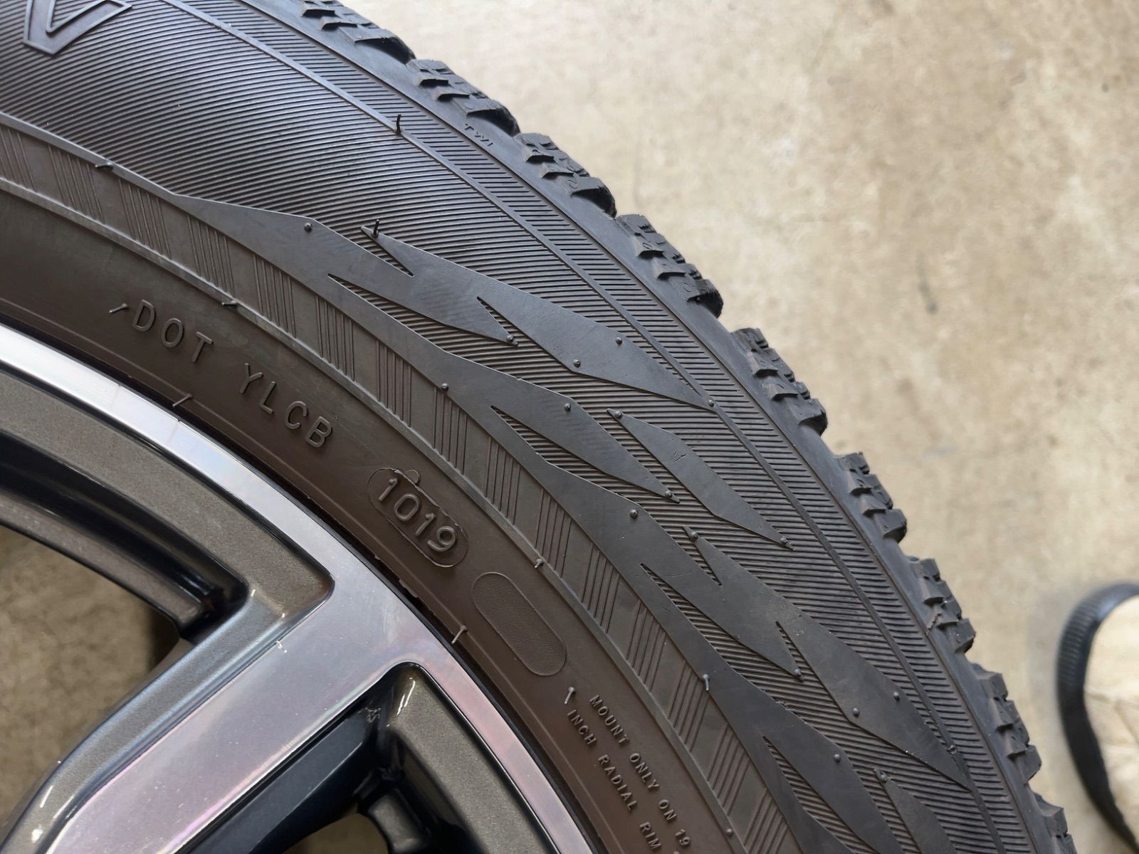 ノキアン 2019年製