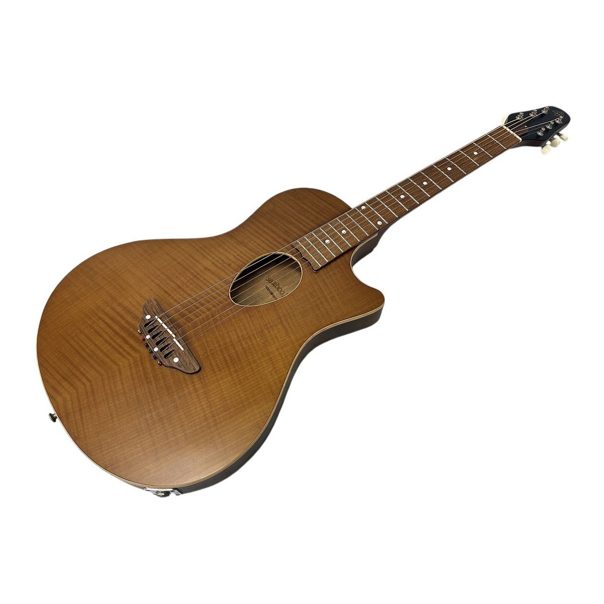ESP BambooInn-CE エ コ アコースティックギター アコギ 楽器