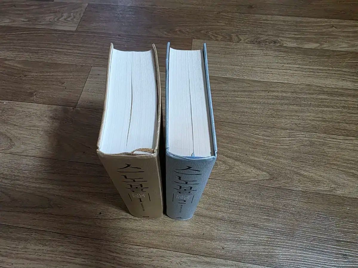 ウォーレンバフェット スノーボール