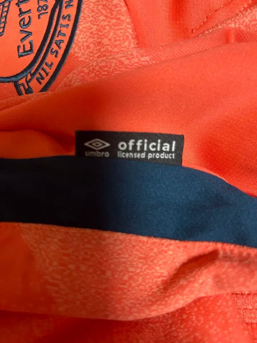  19-20 EVERTON アウェー 半袖シャツ アンドレ ゴメス その他 ウェア