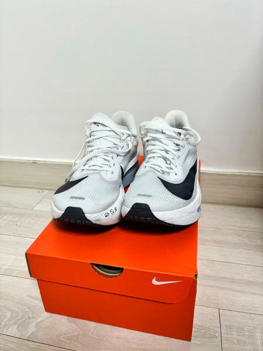 ズームフライ6 240 ランニングシューズ