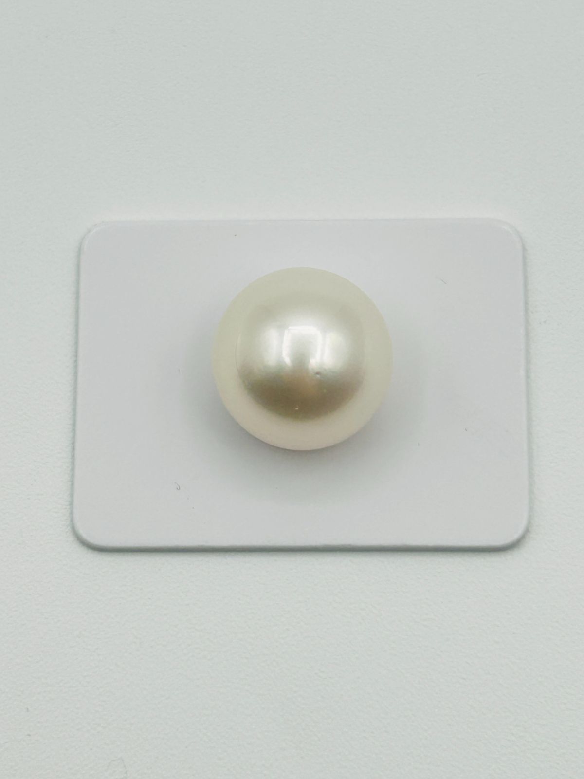 真珠 南洋 白蝶 パール ルース 15.0㎜UP 1PCS South Sea Pearl