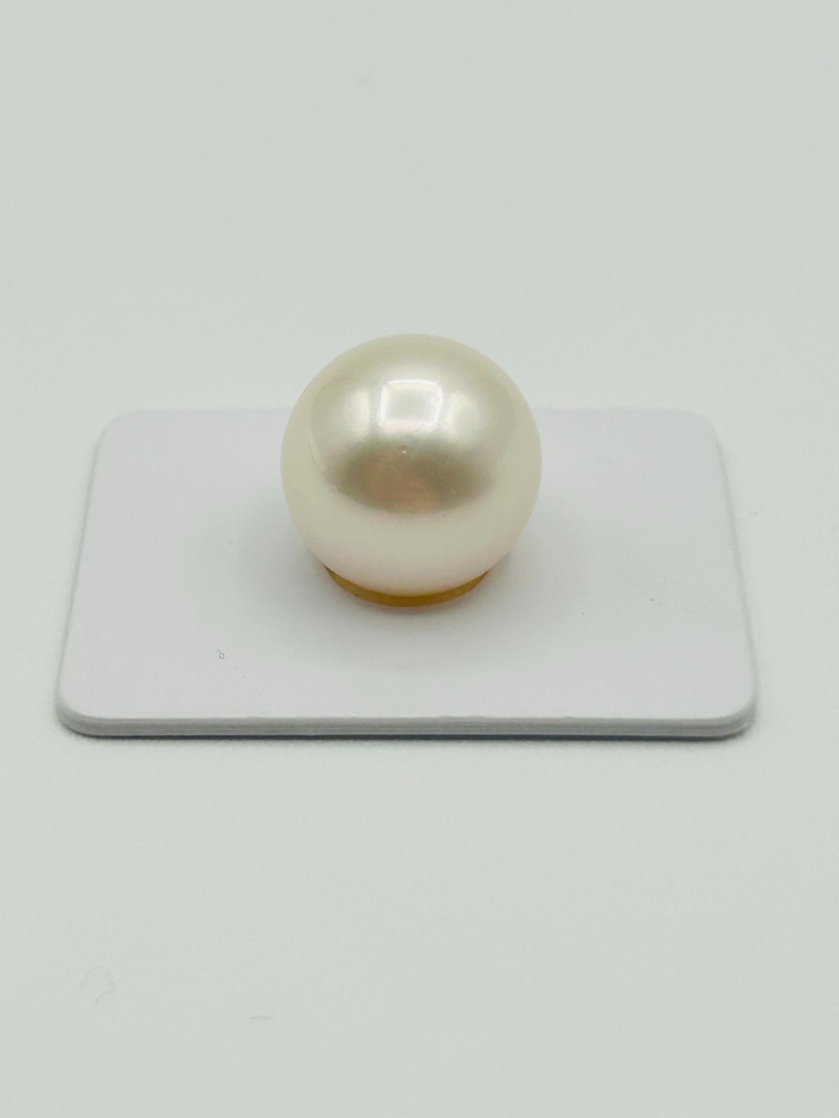 真珠 南洋 白蝶 パール ルース 15.0㎜UP 1 PCS South Sea Pearl