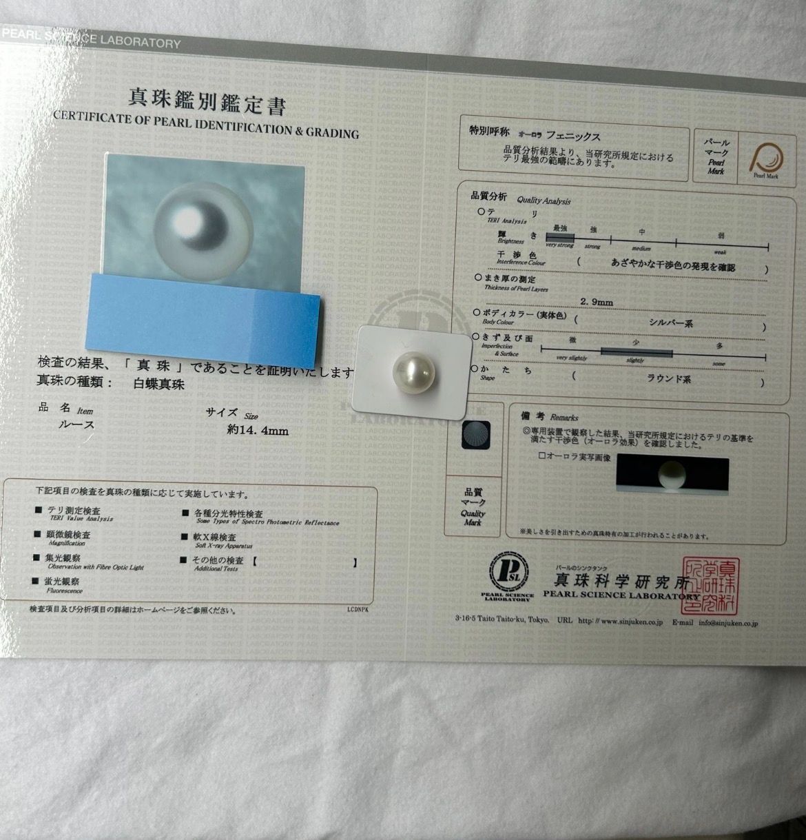 ビッグサイズ 白蝶 真珠 南洋 パール フェニックス ルース 14.4mm 真珠科学研究所鑑別書 Phoenix 鳳凰