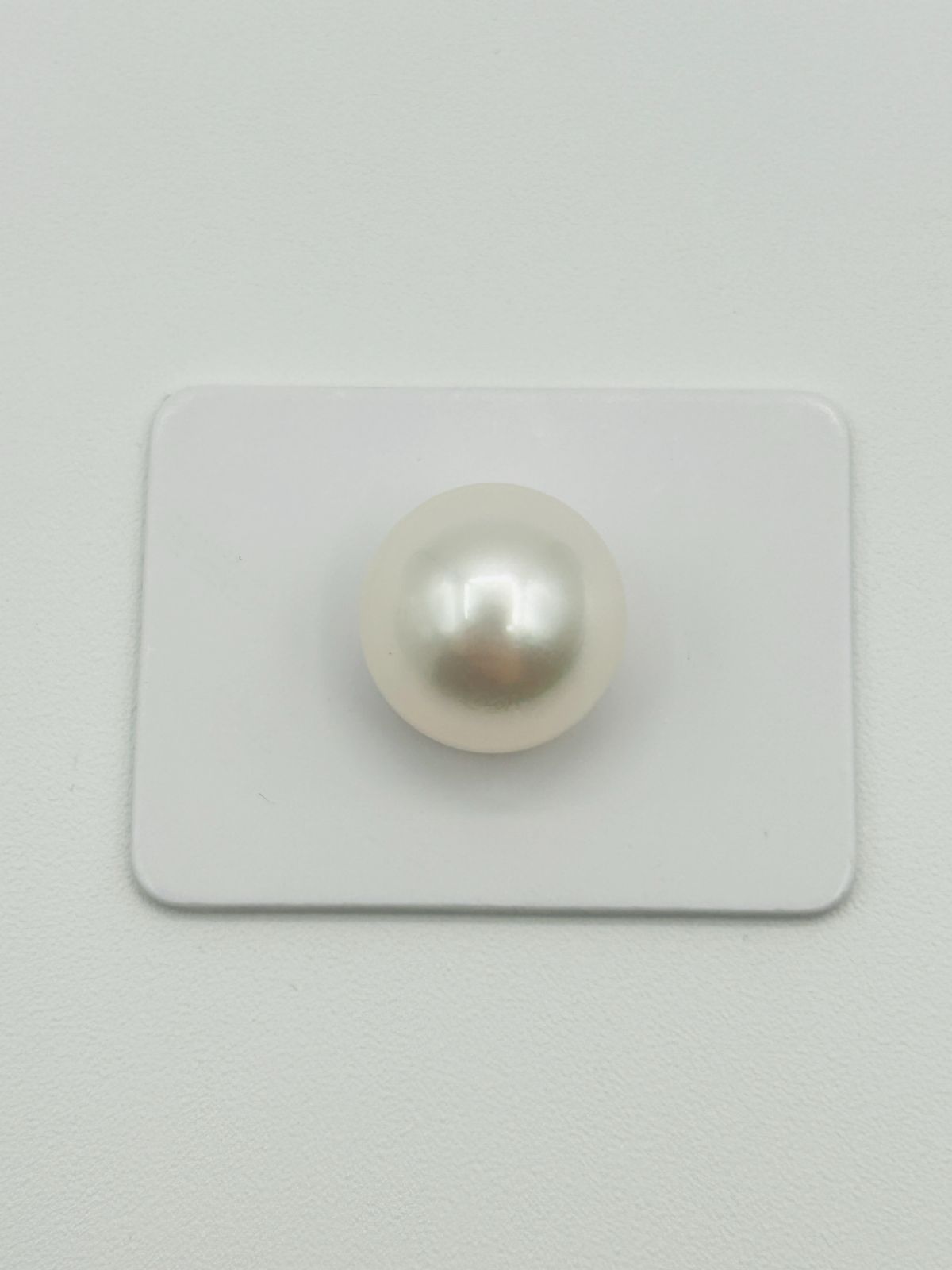ビッグサイズ 白蝶 真珠 南洋 パール フェニックス ルース 14.4 mm 真珠科学研究所鑑別書 Phoenix 鳳凰