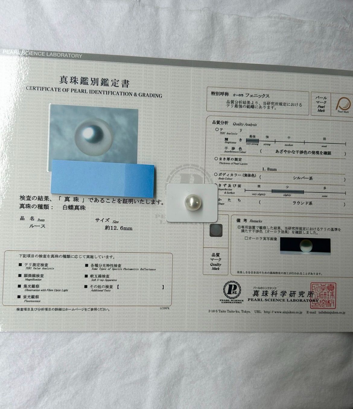 白蝶 真珠 南洋 パール フェニックス ルース 12.6mm 真珠科学研究所鑑別書 Phoenix 鳳凰