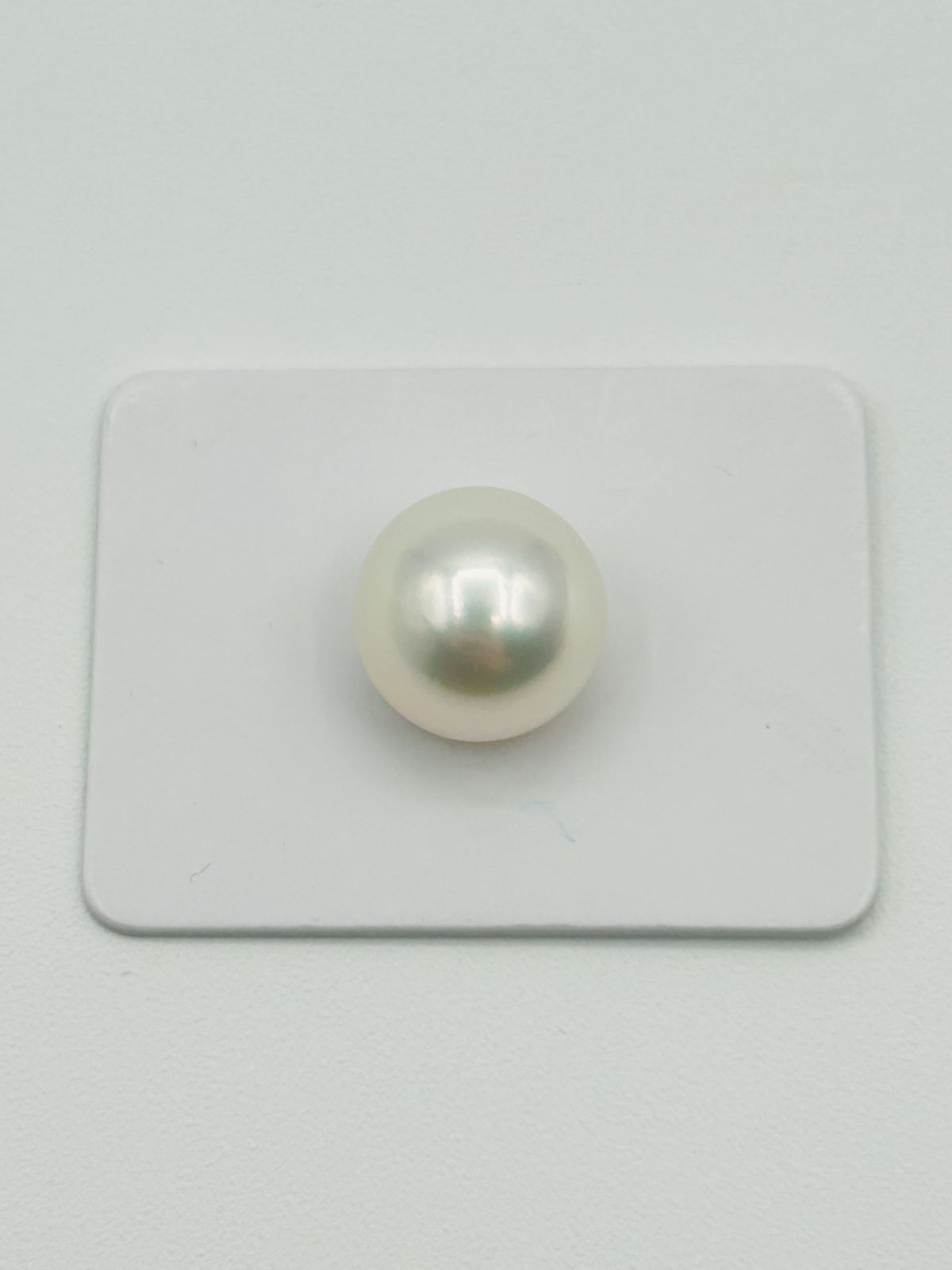 白蝶 真珠 南洋 パール フェニックス ルース 12.6 mm 真珠科学研究所鑑別書 Phoenix 鳳凰