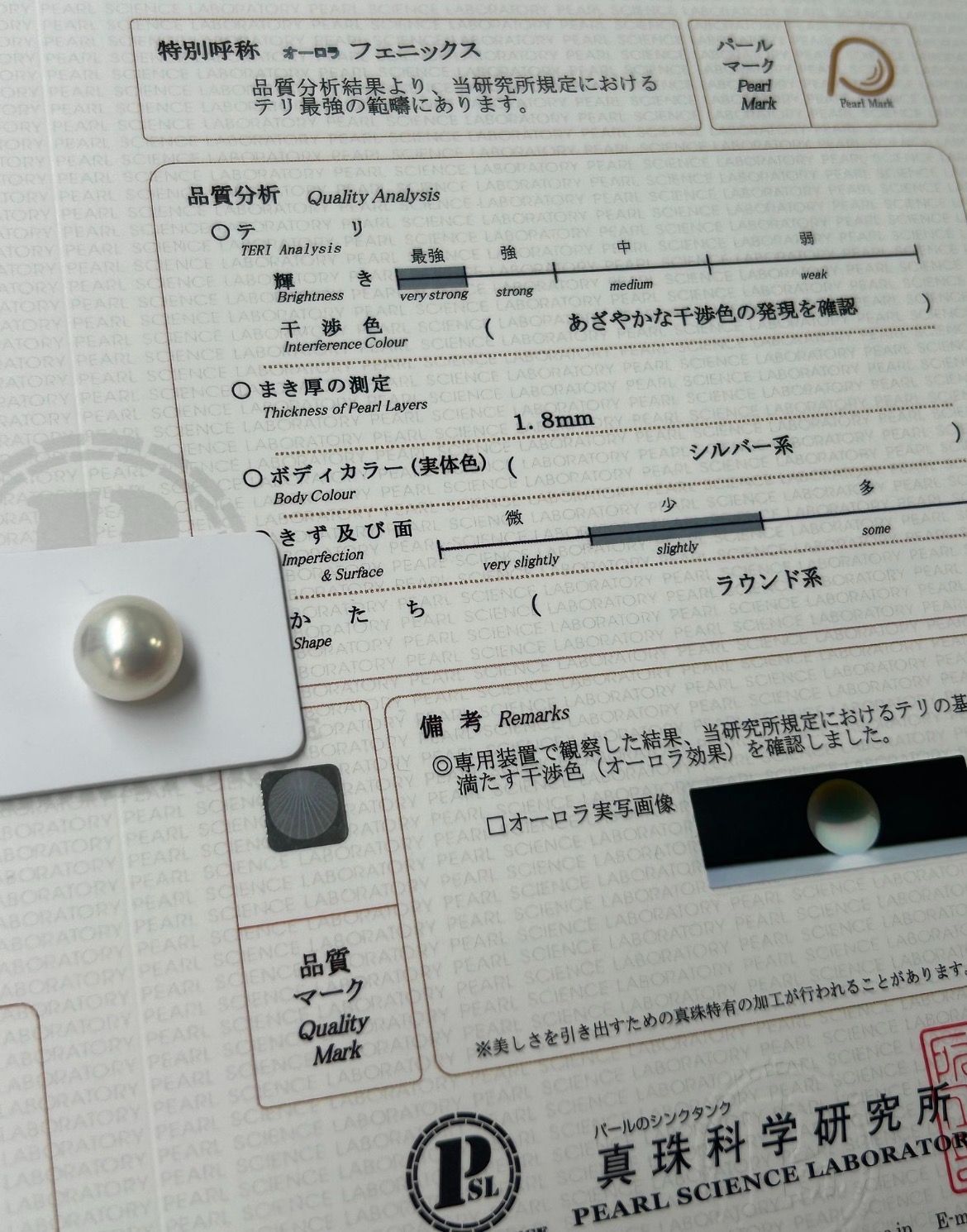 西日本鉄道百年史 西日本鉄道百年史 □『西日本鉄道百年史』2008年