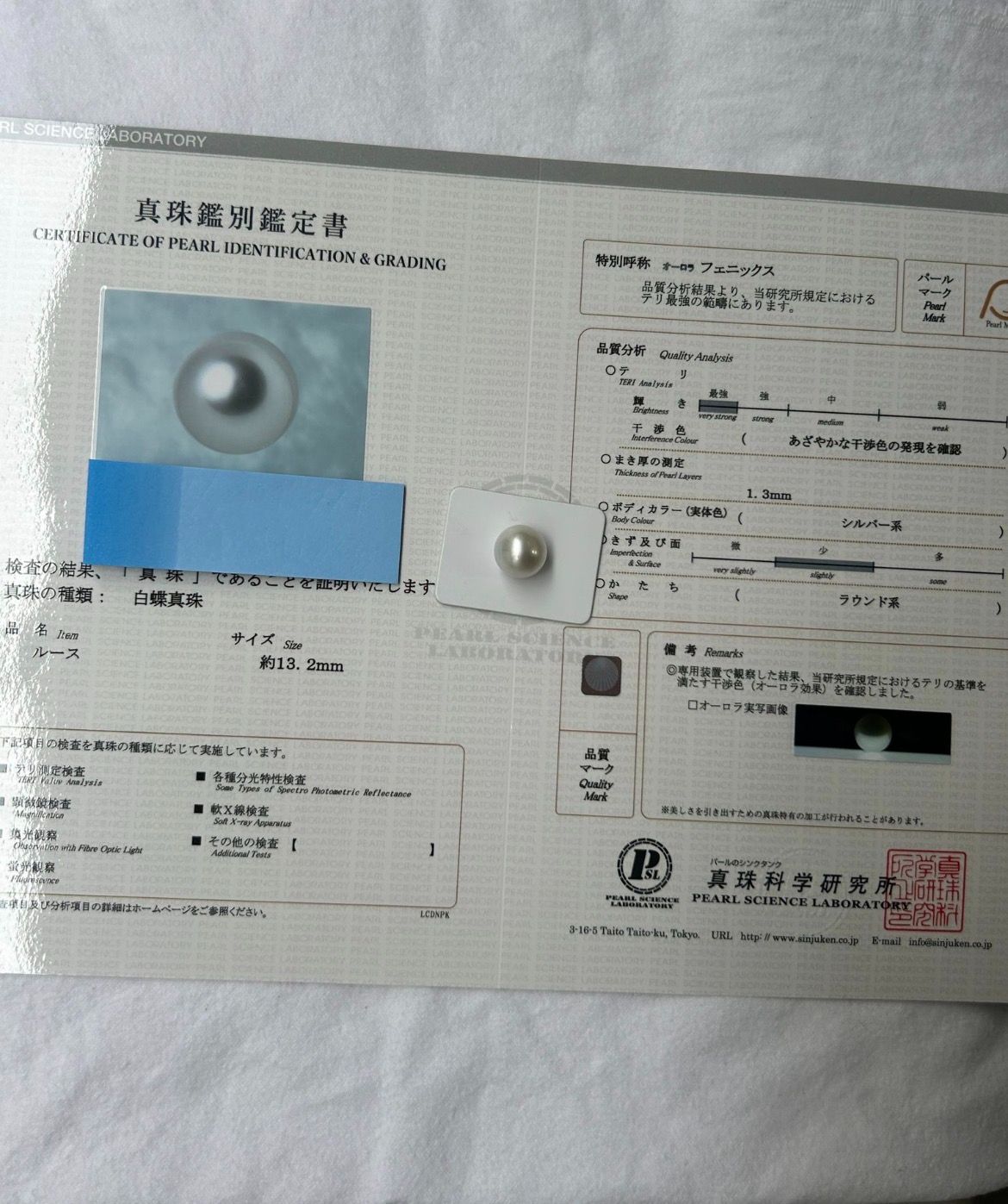 白蝶 真珠 南洋 パール フェニックス ルース 13.2mm 真珠科学研究所鑑別書 Phoenix 鳳凰