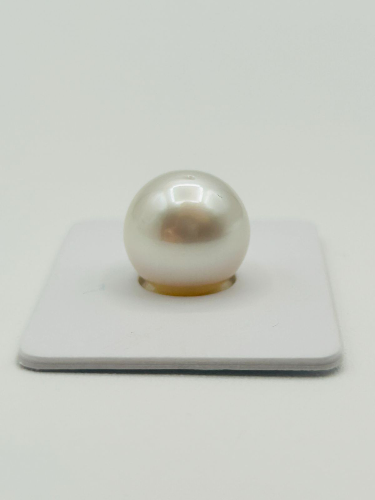 フェニックス ルース