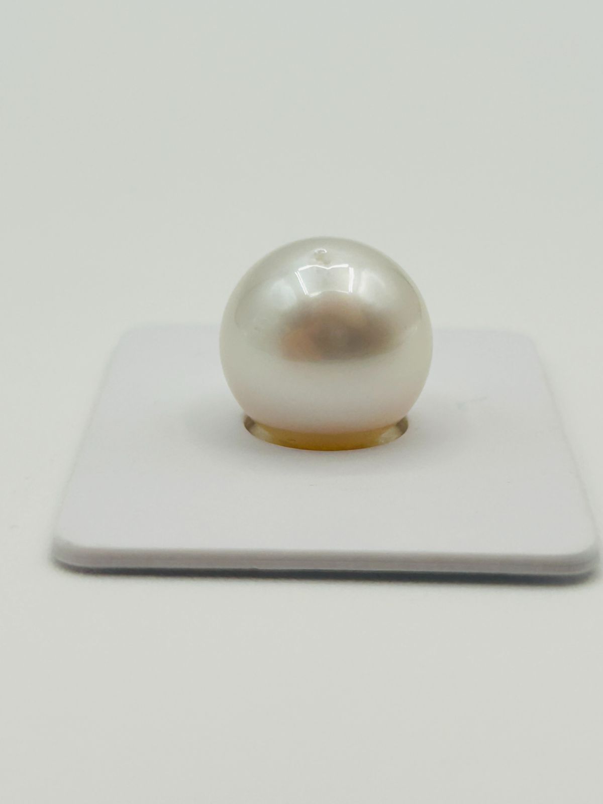 伸びやかな 白蝶 真珠 南洋 パール フェニックス ルース 13.2mm 真珠科学研究所鑑別書 Phoenix 鳳凰 【送料無料】