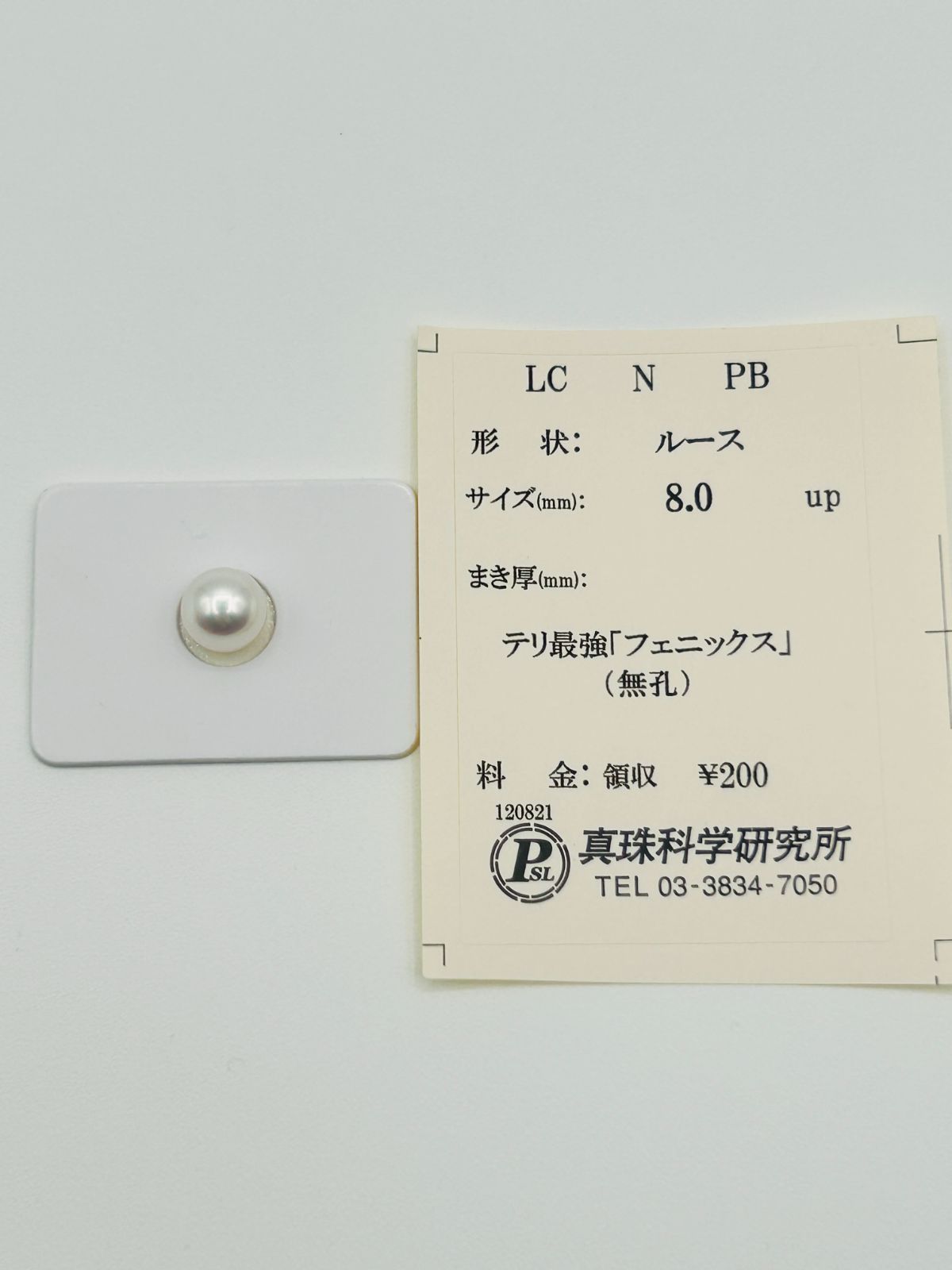 白蝶 真珠 南洋 パール フェニックス ルース 8.0mm 真科研ソーティング Phoenix 鳳凰
