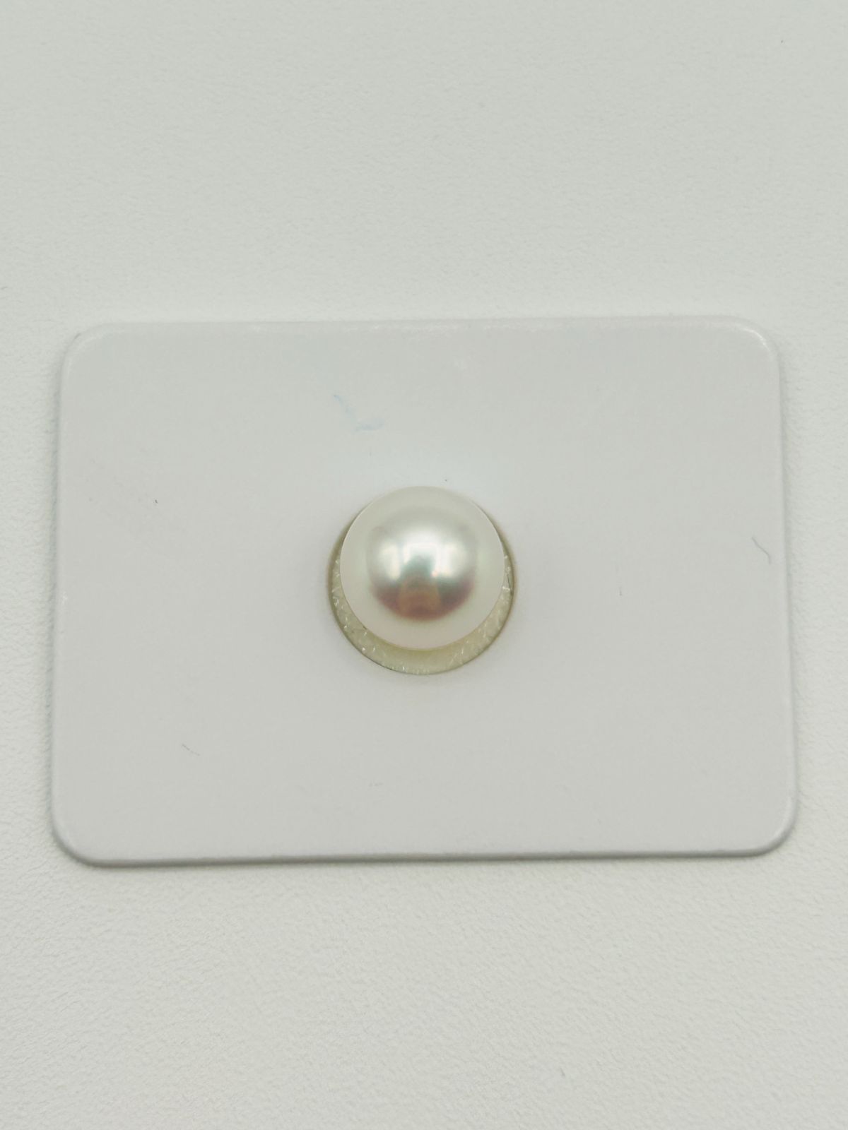 白蝶 真珠 南洋 パール フェニックス ルース 8.0 mm 真科研ソーティング Phoenix 鳳凰