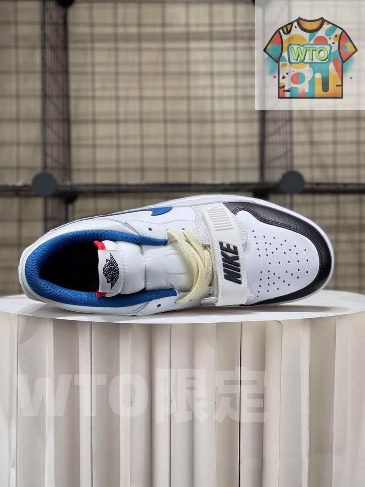 FV8117-141 -WTO輸入2