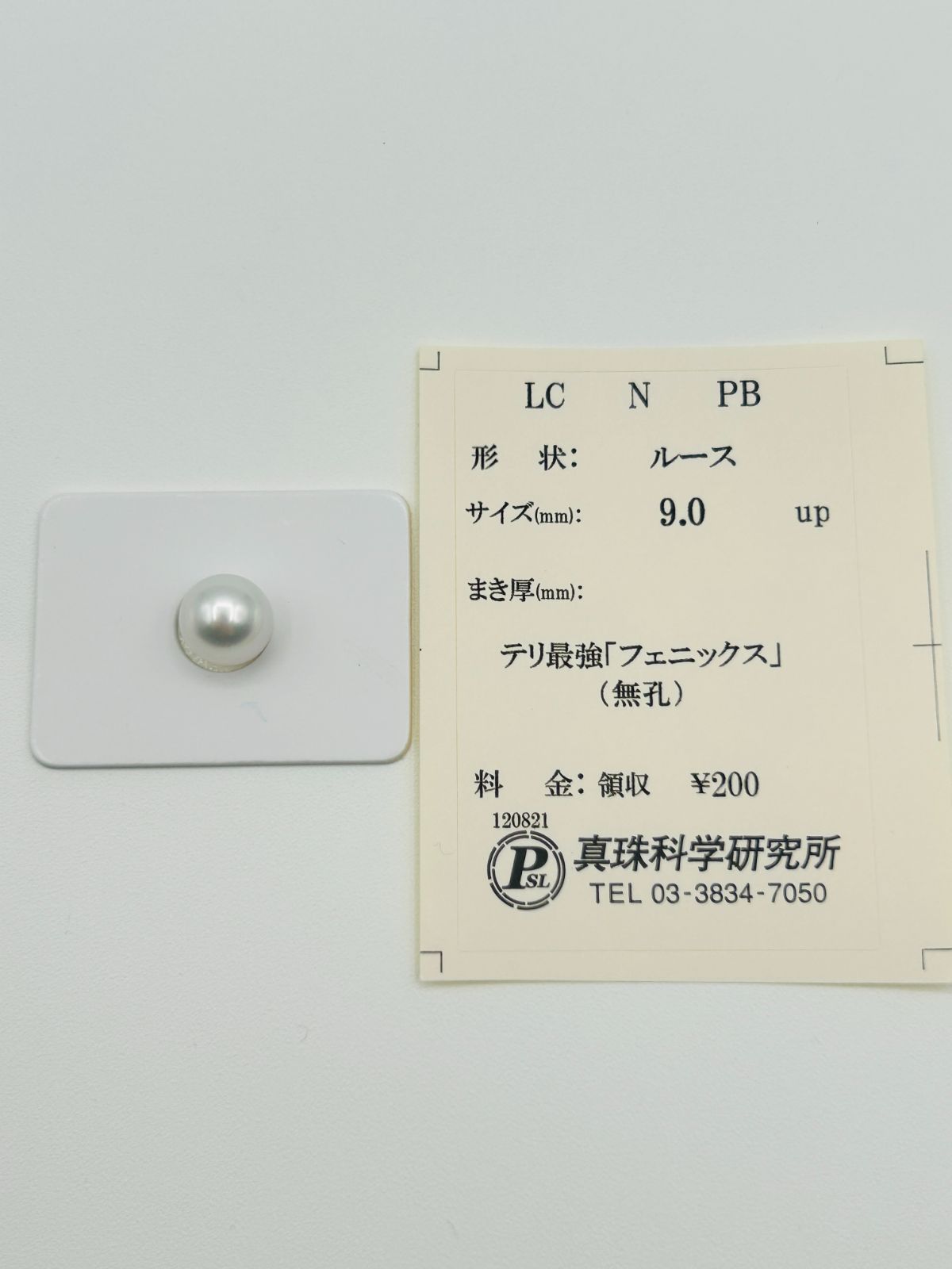 白蝶 真珠 南洋 パール フェニックス ルース 9.0mm 真科研ソーティング Phoenix 鳳凰