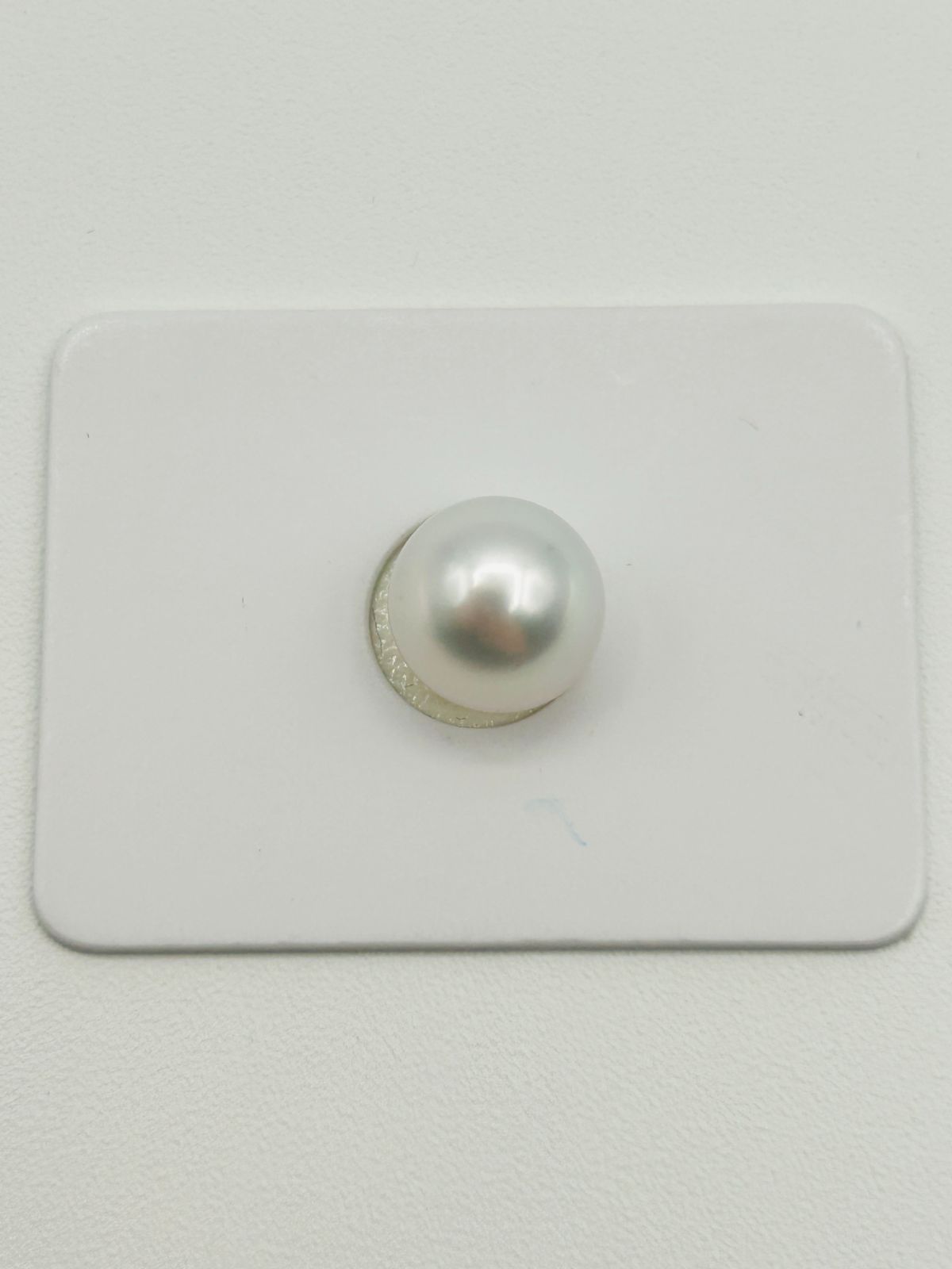 白蝶 真珠 南洋 パール フェニックス ルース 9.0 mm 真科研ソーティング Phoenix 鳳凰