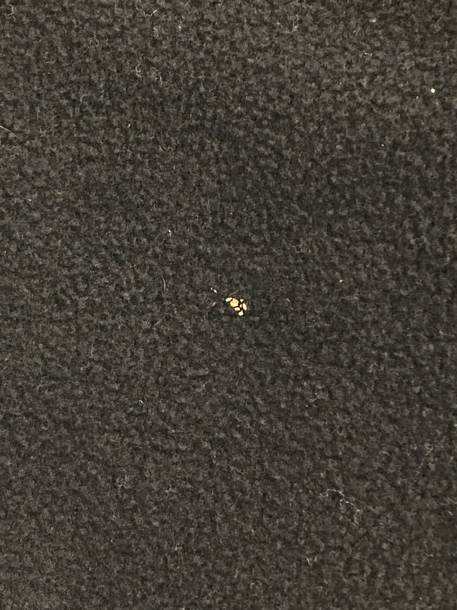 マウンテンパーカー アウター