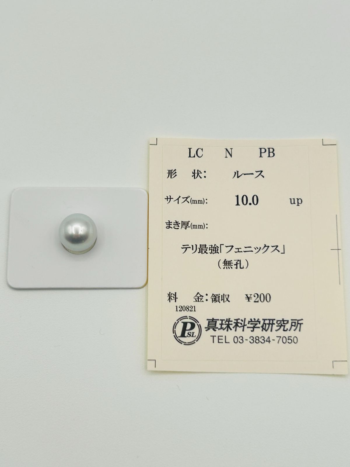 白蝶 真珠 南洋 パール フェニックス ルース 10.0mm 真科研ソーティング Phoenix 鳳凰