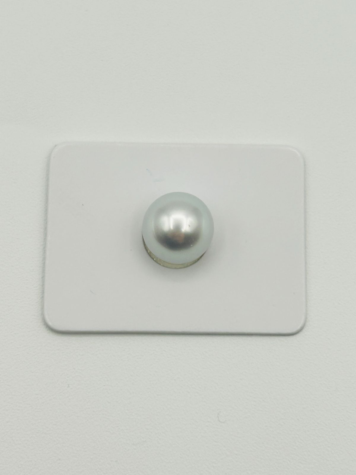 白蝶 真珠 南洋 パール フェニックス ルース 10.0 mm 真科研ソーティング Phoenix 鳳凰