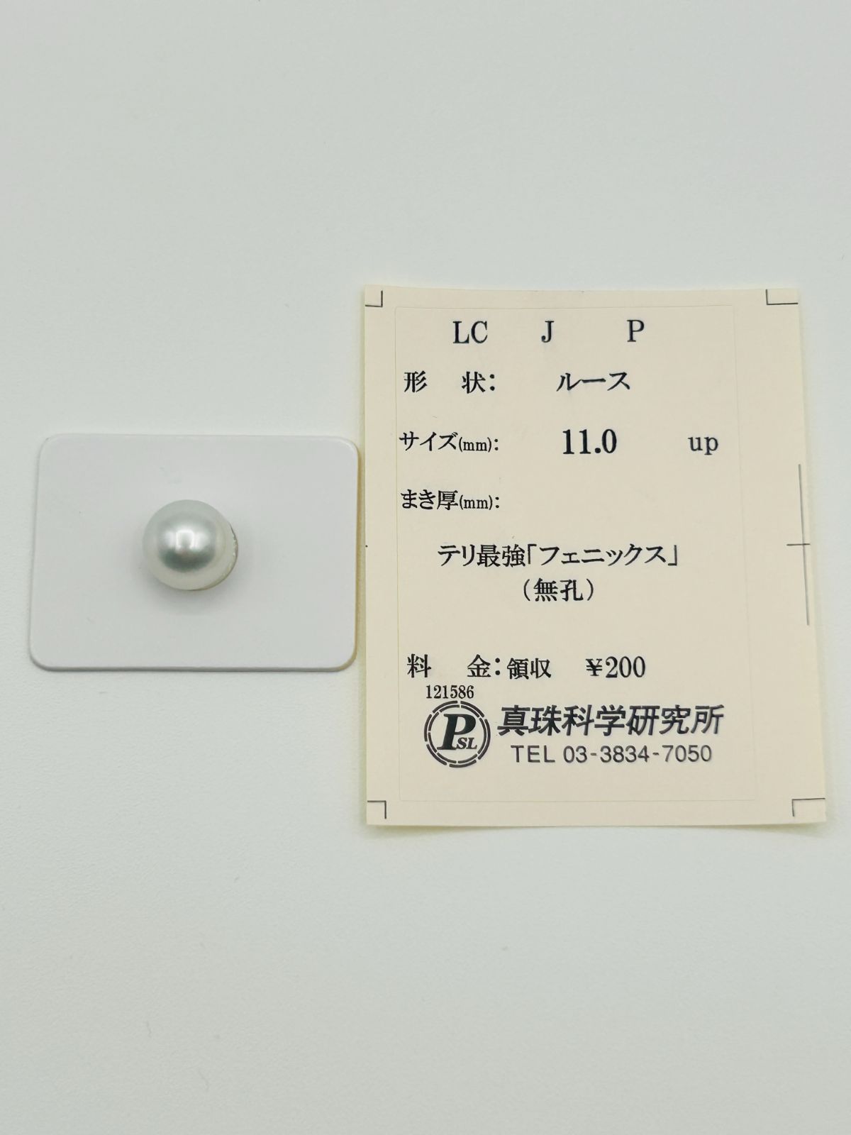 白蝶 真珠 南洋 パール フェニックス ルース 11.0mm 真科研ソーティング Phoenix 鳳凰