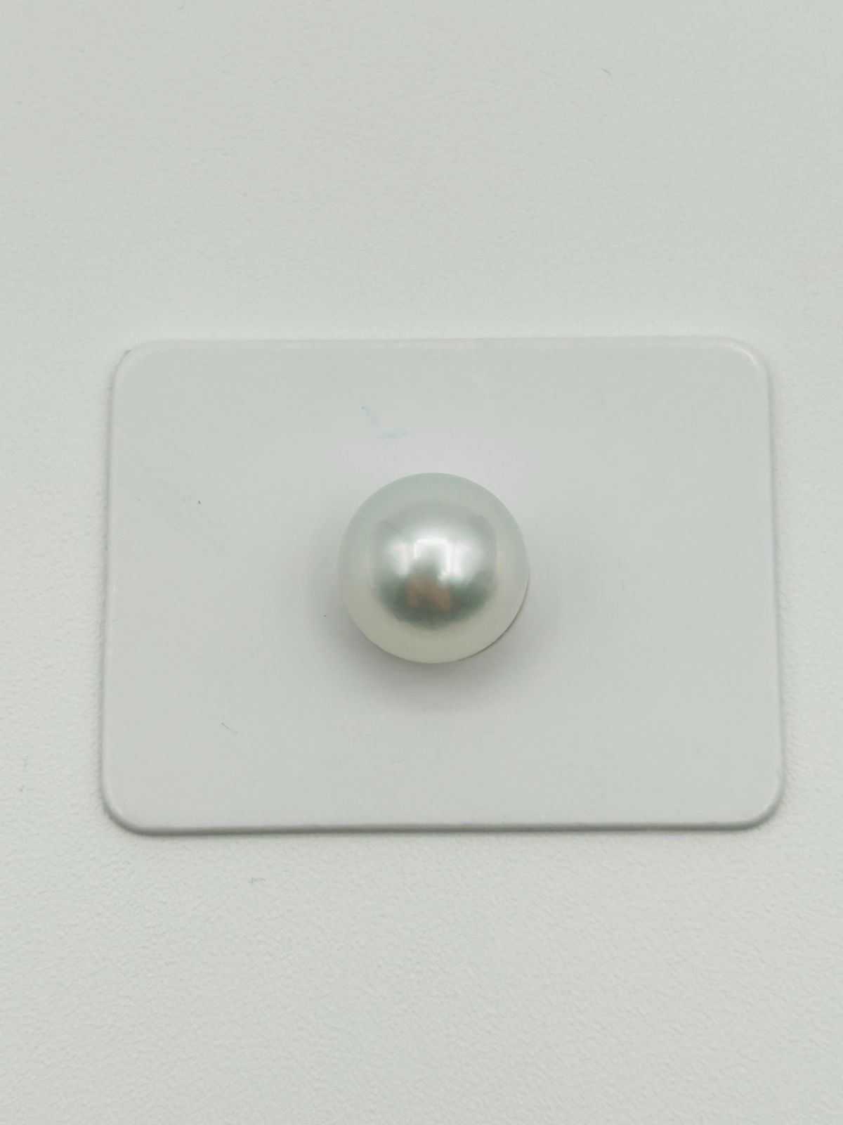 白蝶 真珠 南洋 パール フェニックス ルース 11.0 mm 真科研ソーティング Phoenix 鳳凰