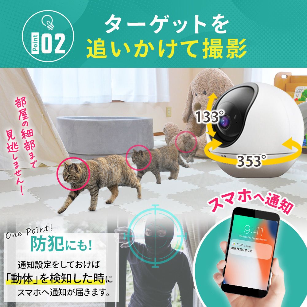 安心 ネットワークカメラ