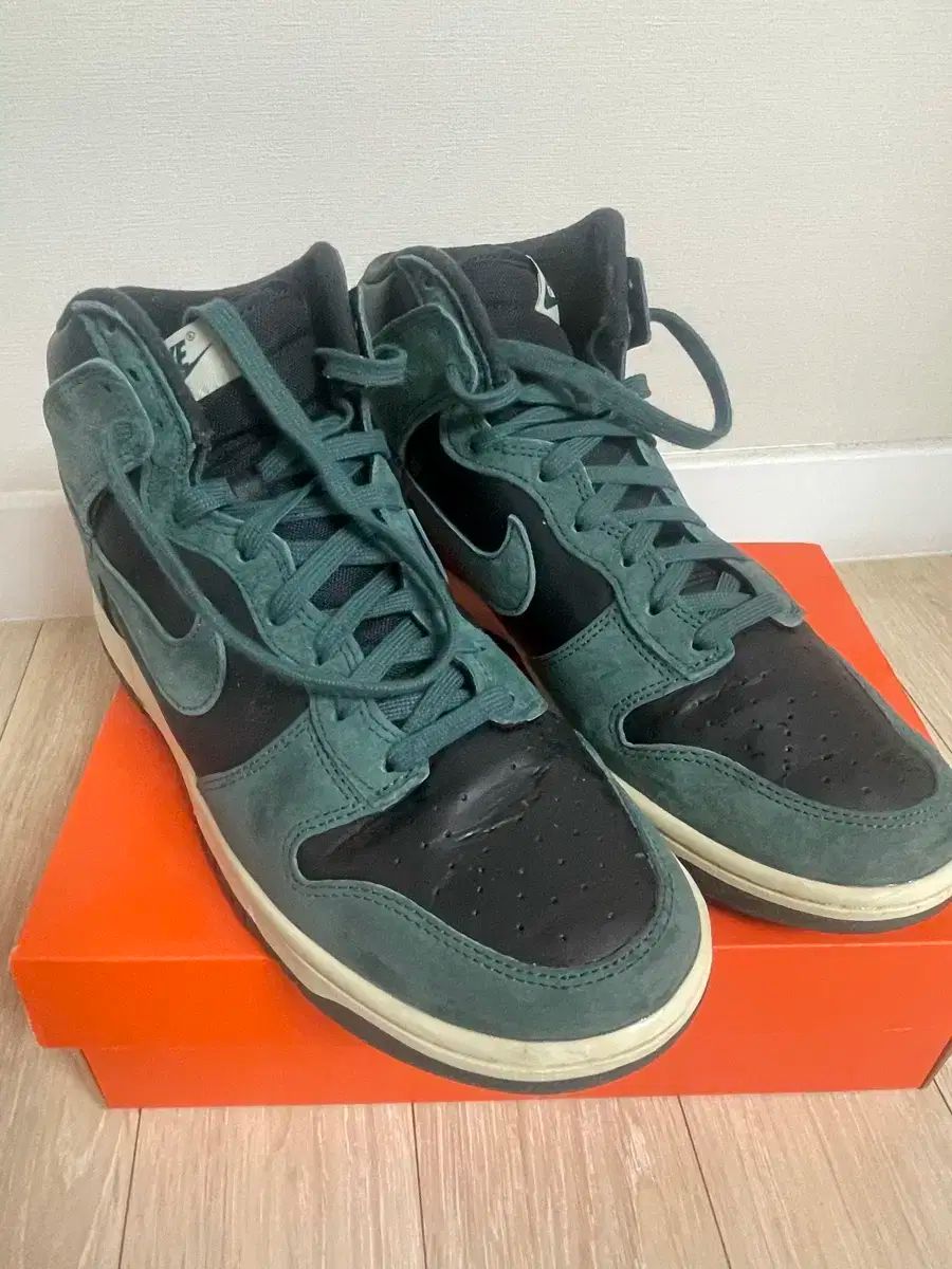 ナイキ ダンク ハイ レトロ フェイディド スプルース 270