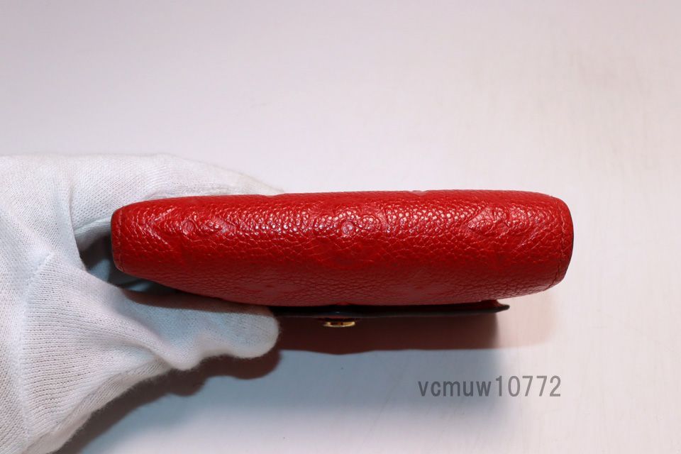 VUITTON モノグラムアンプラント