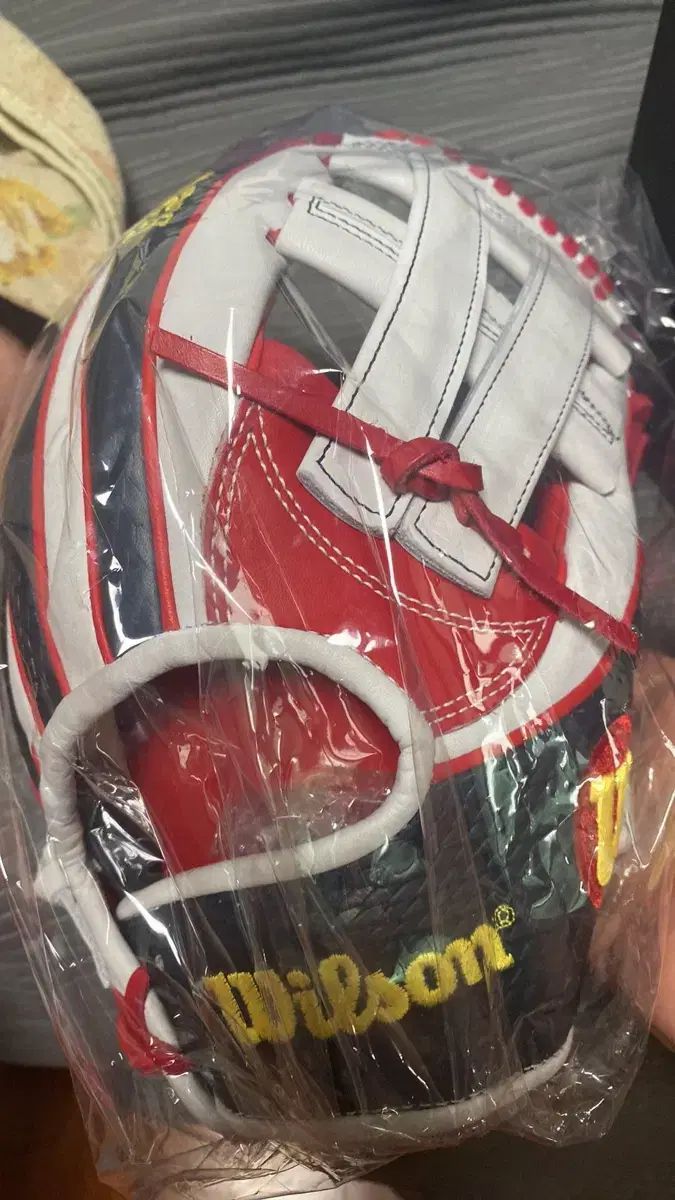 ウィルソン 김동주 hof 内野グローブ