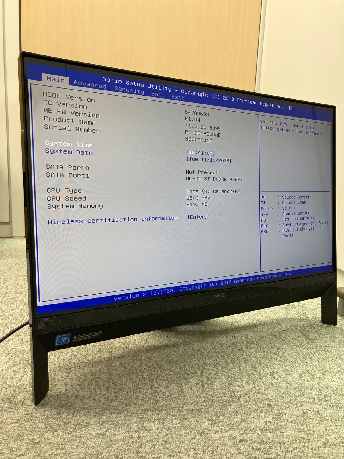 ジャンク 起動 済み NEC PC-GD18CUCAD 一体型PC