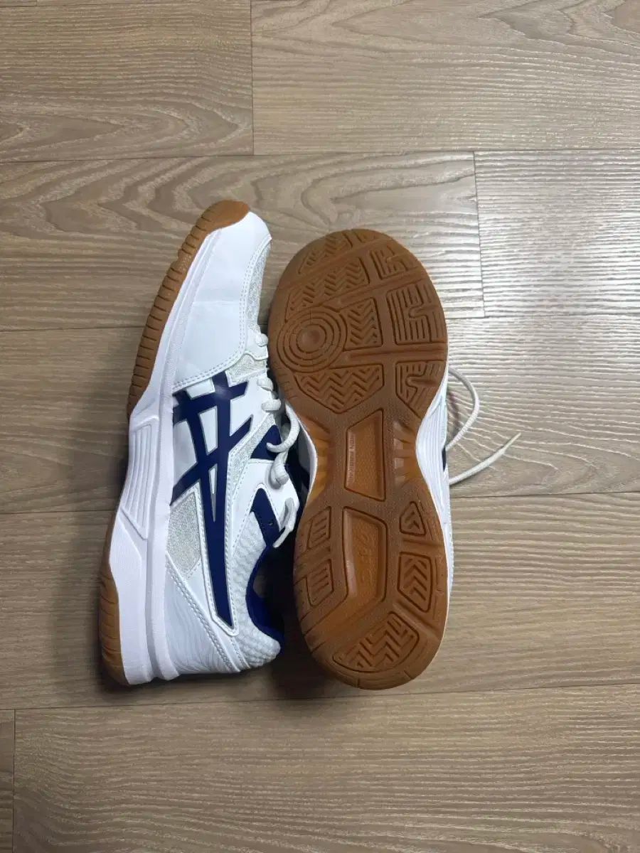 アシックス リーブ CF バレーボールシューズ