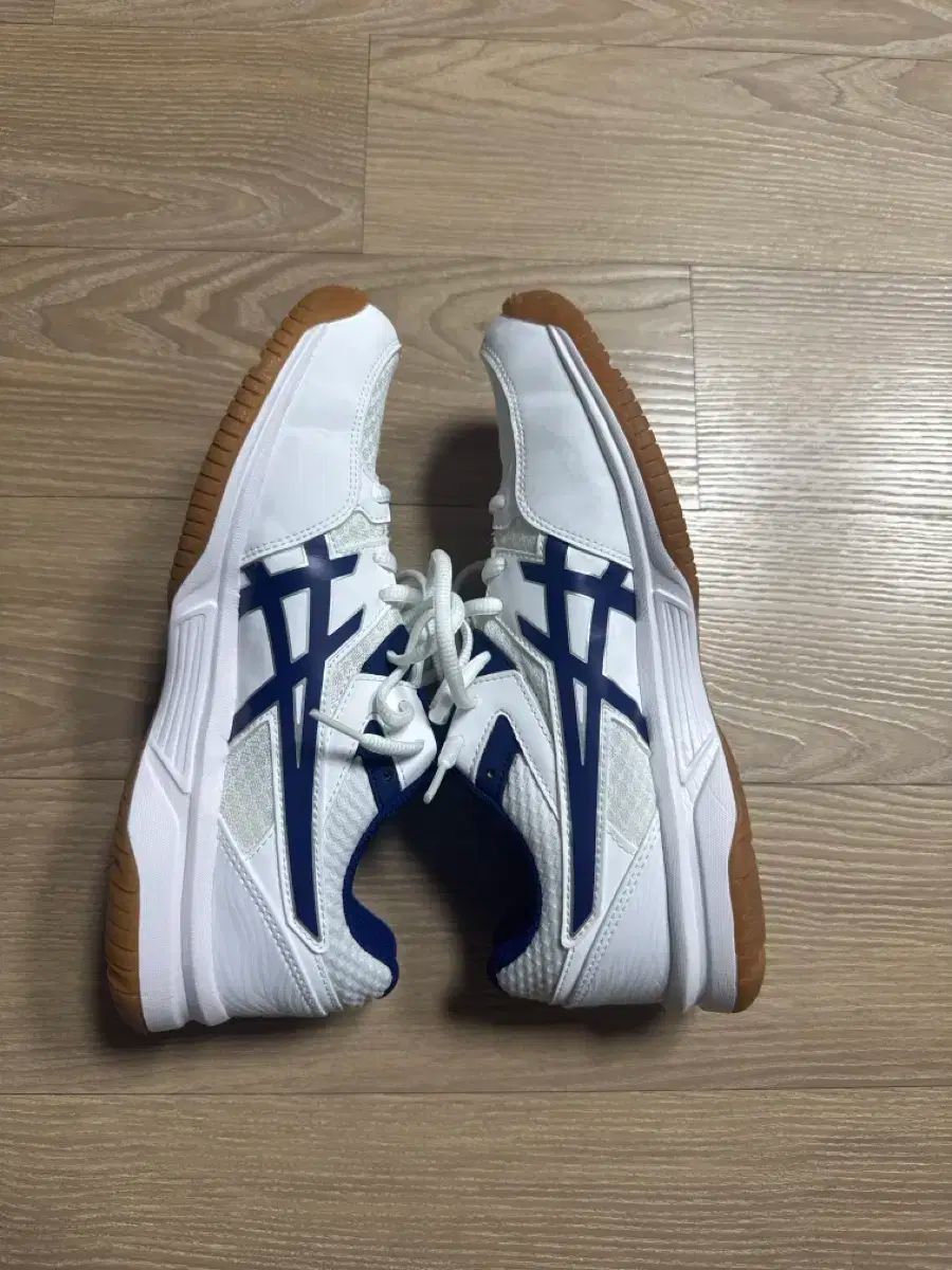  アシックス リーブ CF バレーボールシューズ その他 バドミントン