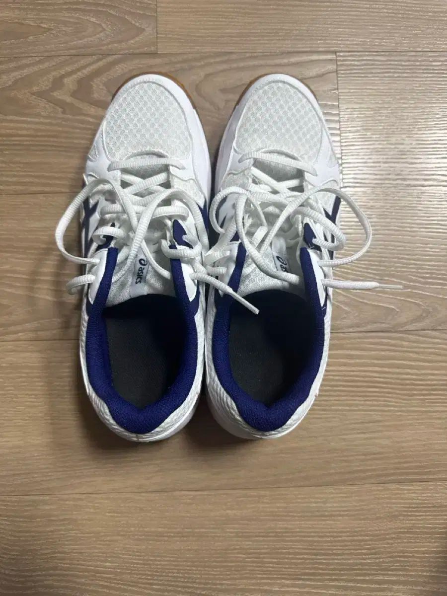 アシックス リーブ CF バレーボールシューズ