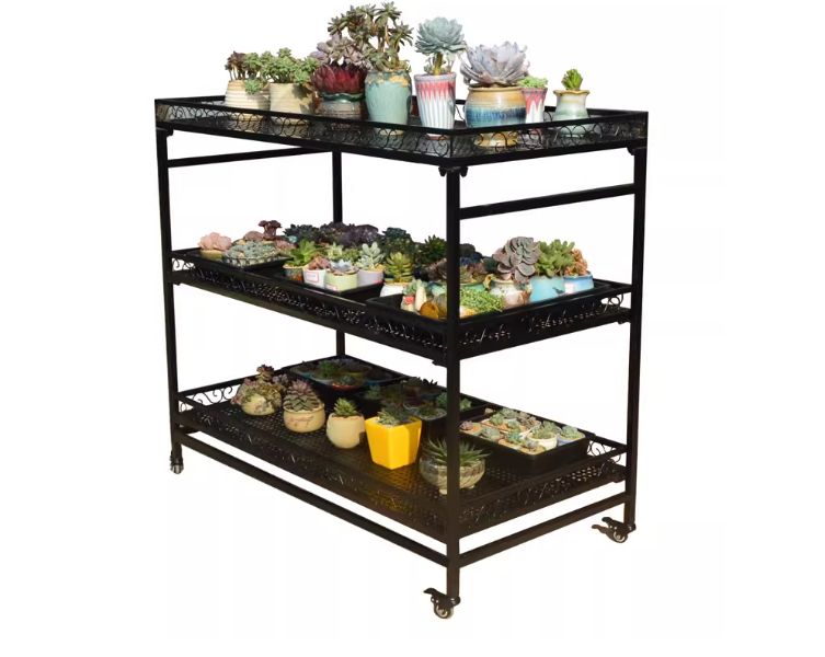 鉄この多肉植物 胡蝶蘭向けの多段ラックは 移動式でベランダ 室内両用のコンパクト設計です