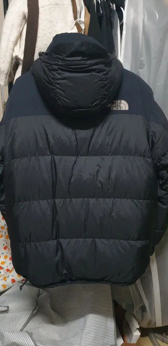 NORTH FACE