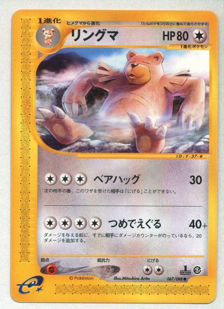 PSA10　ヒメグマ　リングマ　連番　カードe PSA10 連番 希少》ヒメグマ リングマ 進化ライン 神秘なる山 カードe