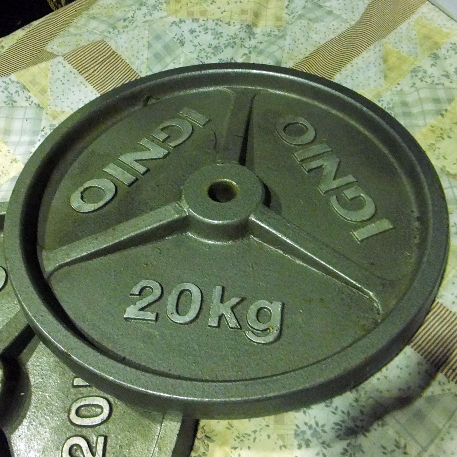 IGNIO 15kg ダンベルプレート２枚セット バーベル プレートセット トレーニング用品 ②イグニオ IGNIO プレート