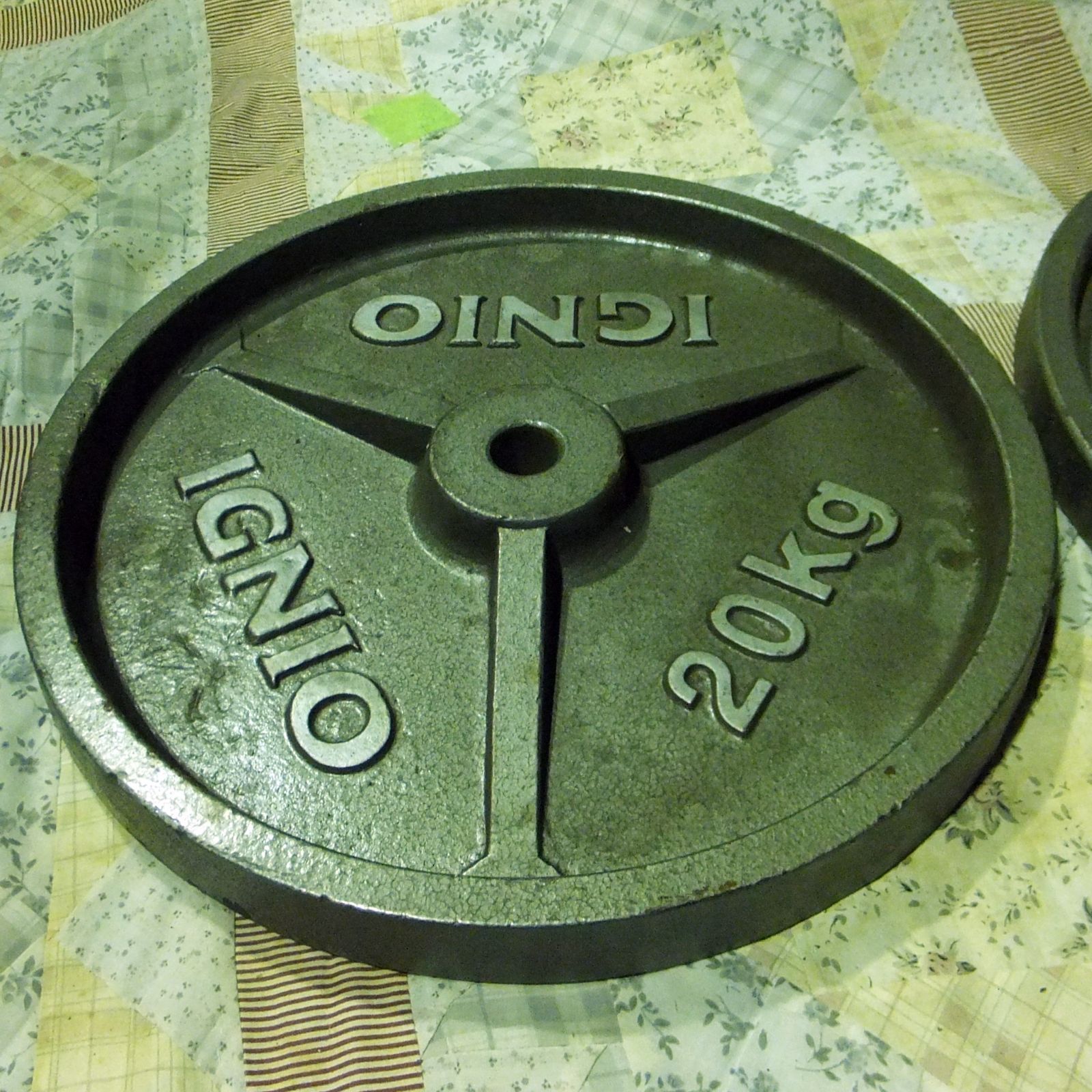  R 589 筋トレ IGNIO 20 kg バーベルプレート 28 mm用 10 ダンベルプレート ウエイトトレーニング