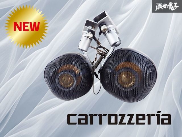 カロッツェリア TS-STX900 サテライトスピーカー 【公式通販】