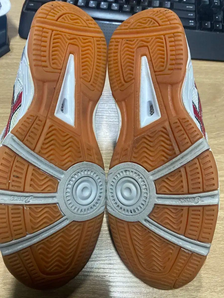 ローテリーフレンチテリー 235 サイズ