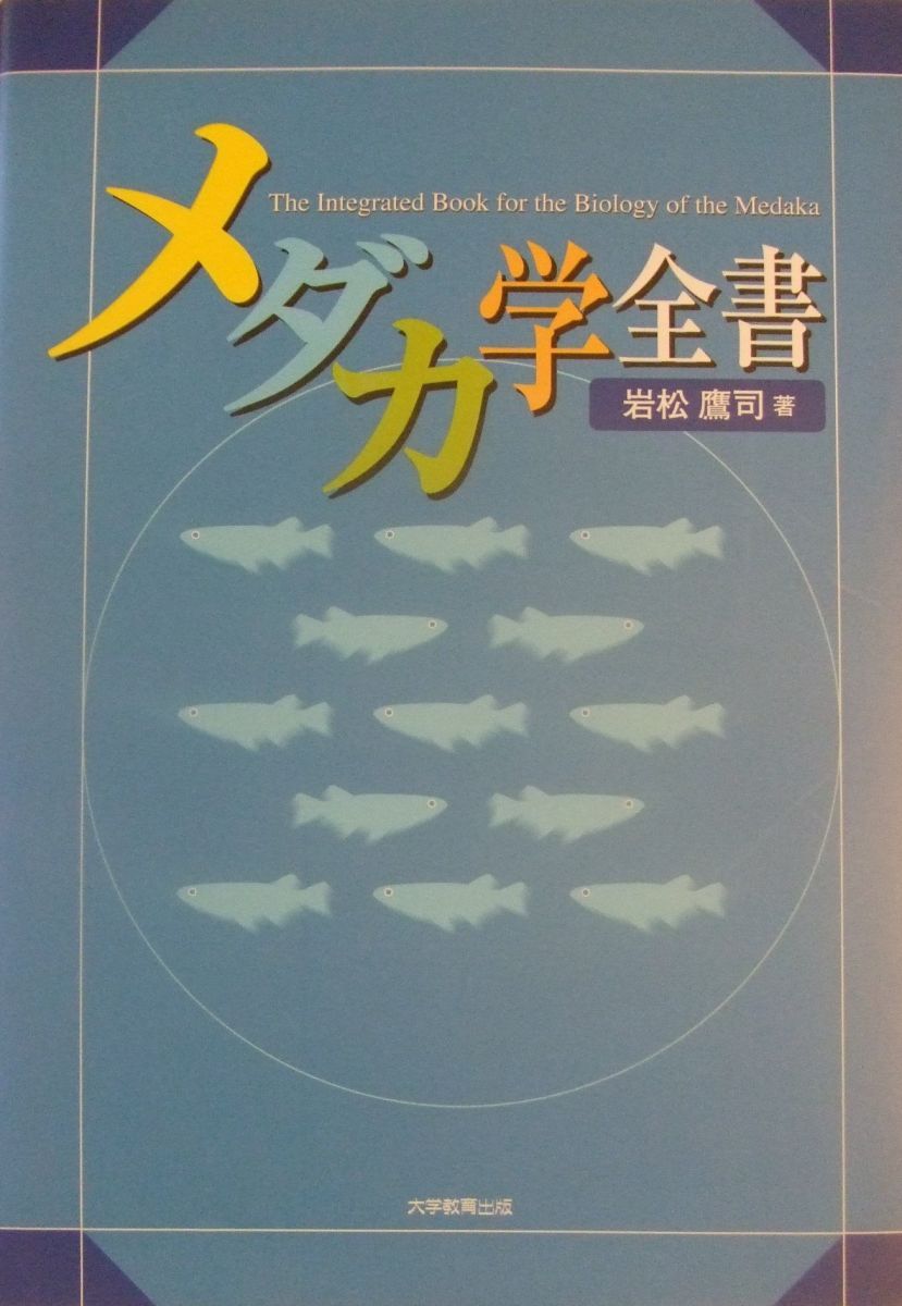 真作】掛軸 経を読む人 和歌と挿絵の掛軸 微笑と祈りの素朴な一幅 T150