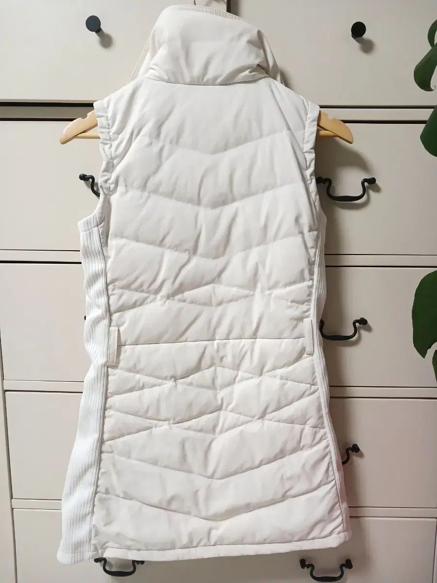 レディース ゴルフ