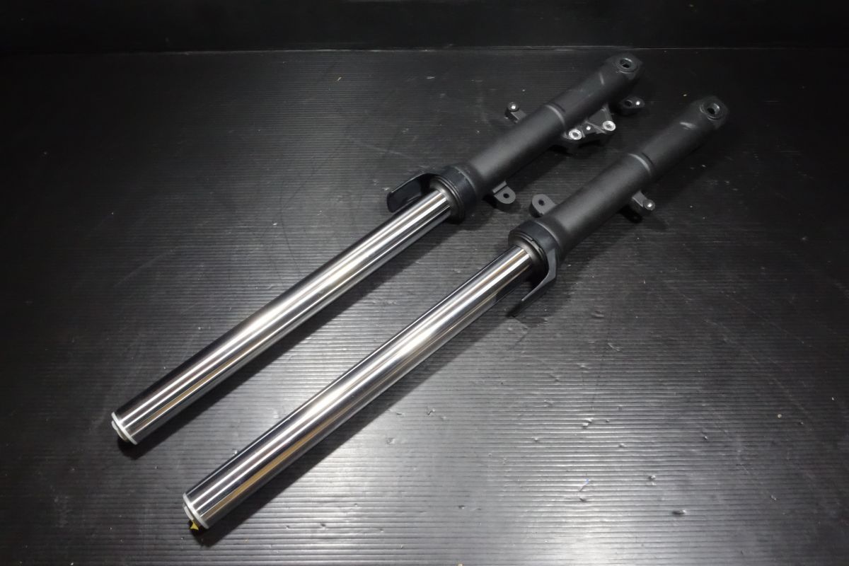 フロントフォーク 左右セット カワサキ Ninja 250 400 EX P G ニンジャ K 225 00 L R