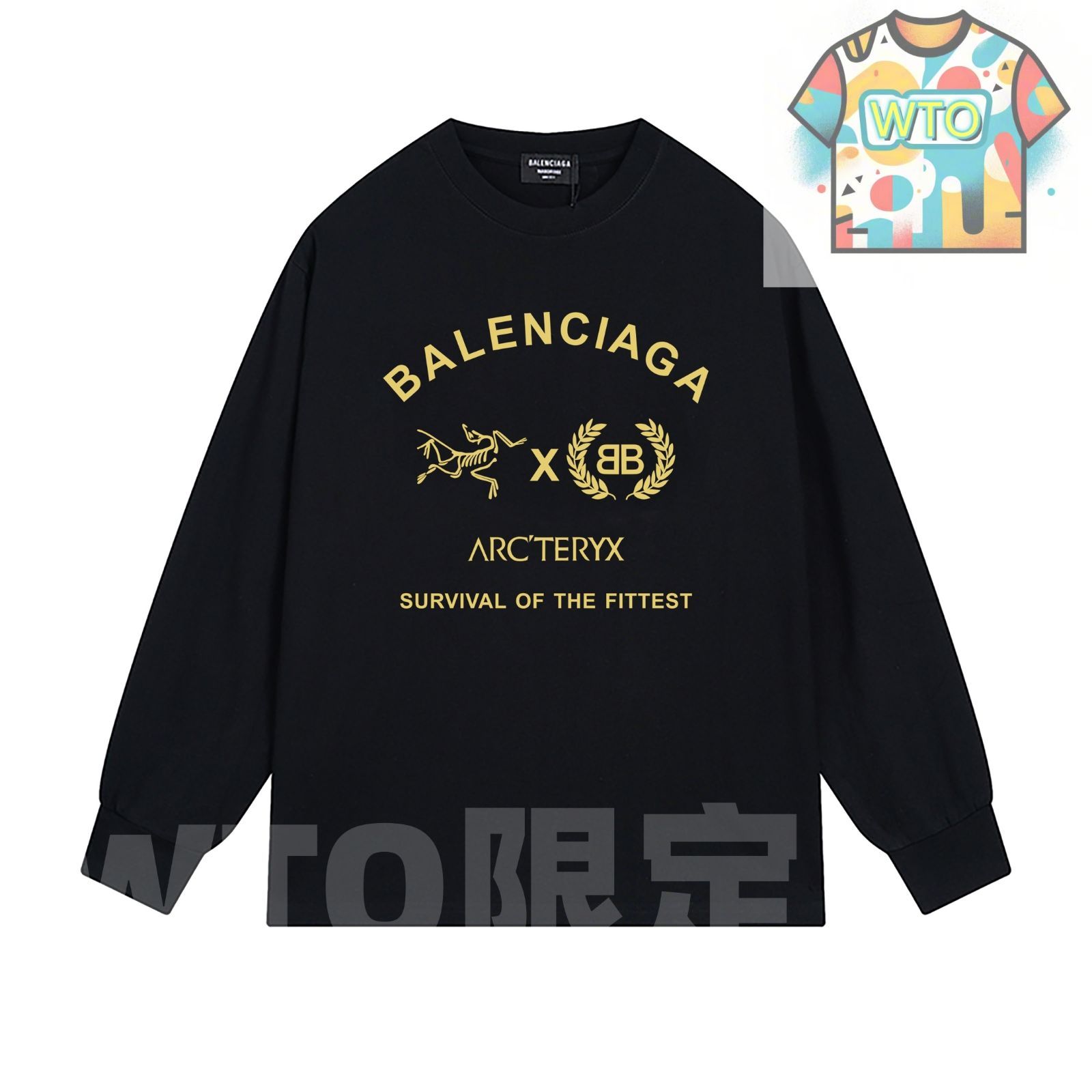 WTO通販 Balenciaga 始祖鳥 コラボ ロングスリーブTシャツ WTO輸入 HJY 65