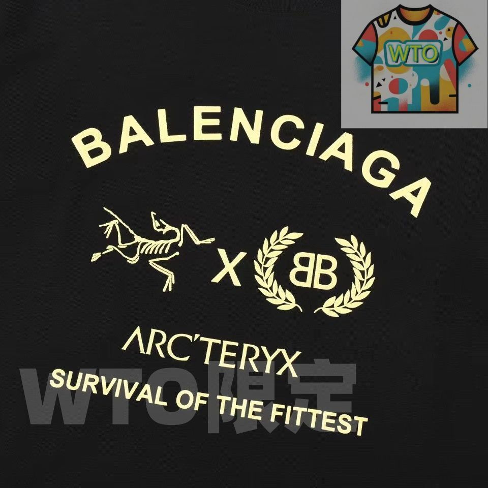  WTO通販 Balenciaga 始祖鳥 コラボ ロングスリーブTシャツ WTO輸入 HJY 65 Tシャツ アパレル キャラクターグッズ