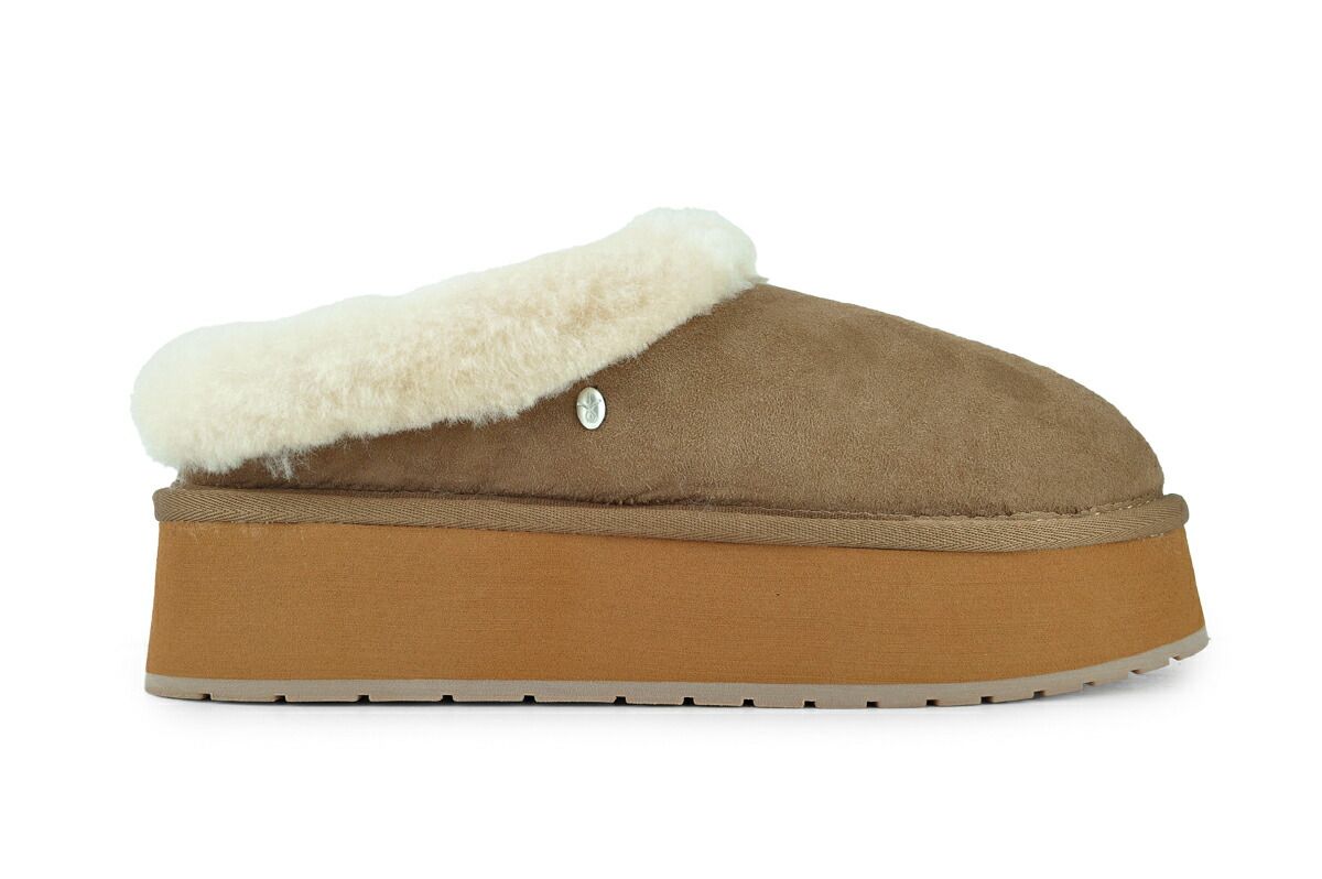 エミュ オーストラリア バージニア フ EMU Australia FLARE w 13294